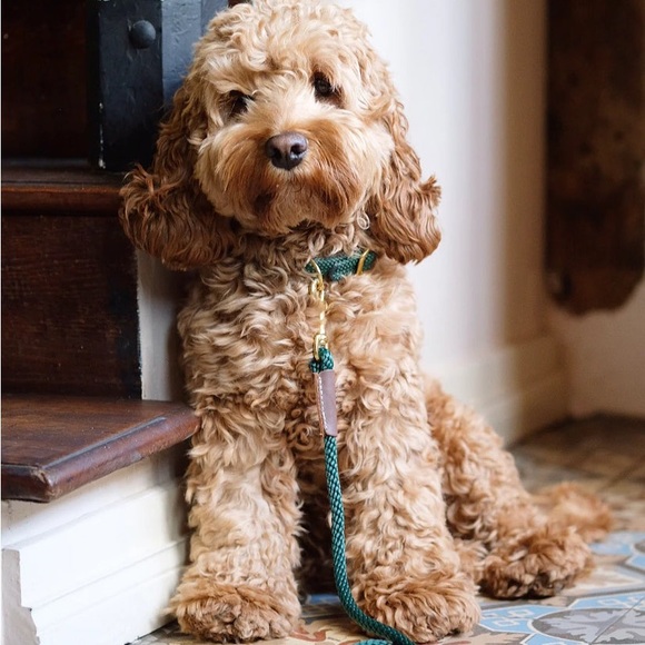 Meet the Posher Other - Meet your Posher, Samantha